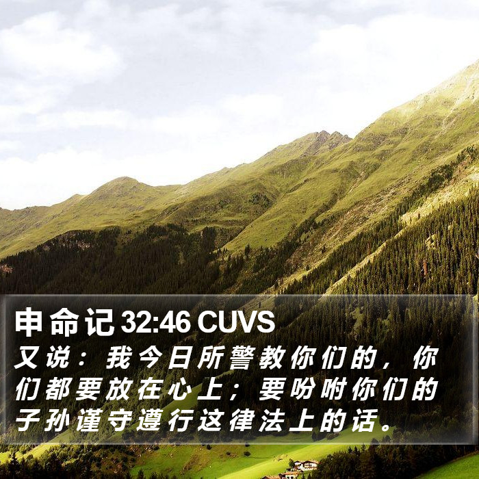 申 命 记 32:46 CUVS Bible Study