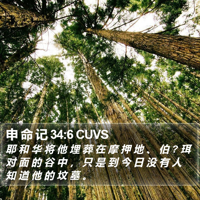 申 命 记 34:6 CUVS Bible Study
