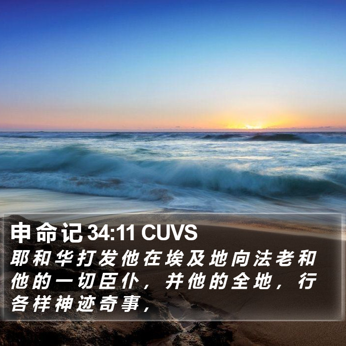 申 命 记 34:11 CUVS Bible Study