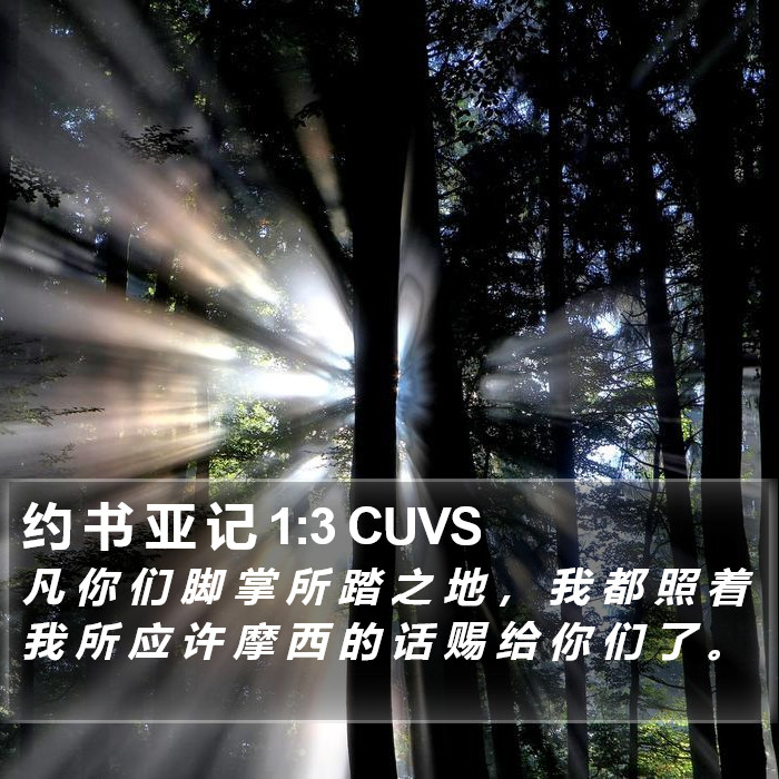 约 书 亚 记 1:3 CUVS Bible Study