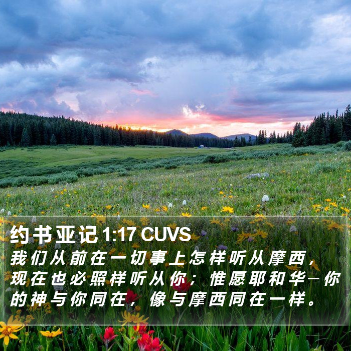 约 书 亚 记 1:17 CUVS Bible Study