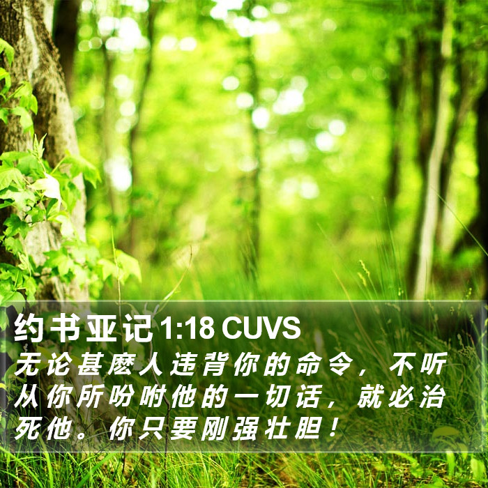 约 书 亚 记 1:18 CUVS Bible Study