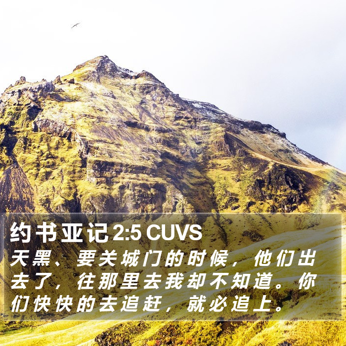 约 书 亚 记 2:5 CUVS Bible Study