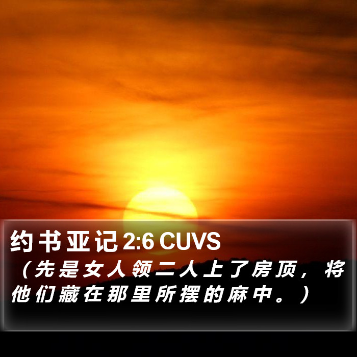 约 书 亚 记 2:6 CUVS Bible Study