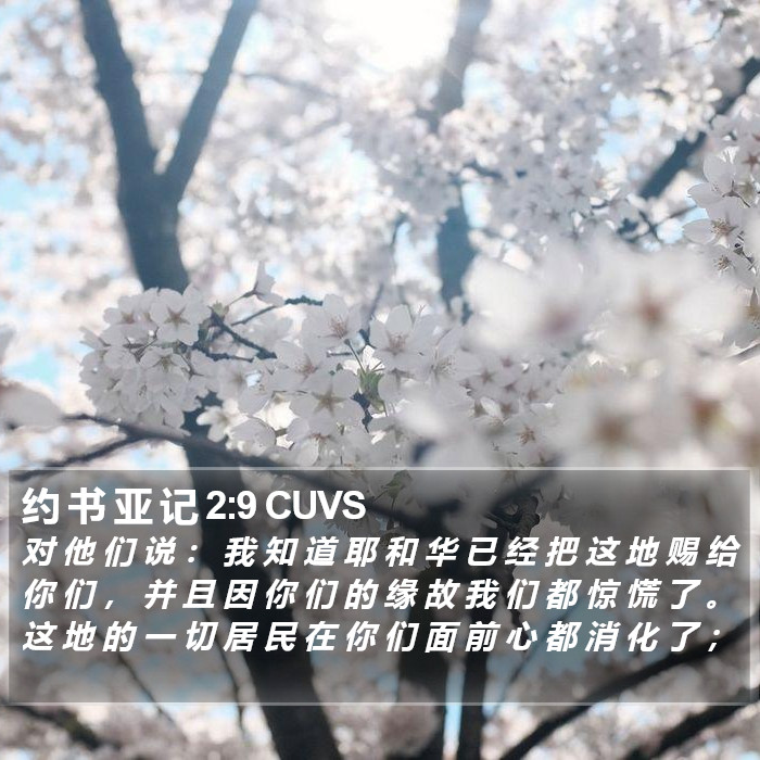 约 书 亚 记 2:9 CUVS Bible Study