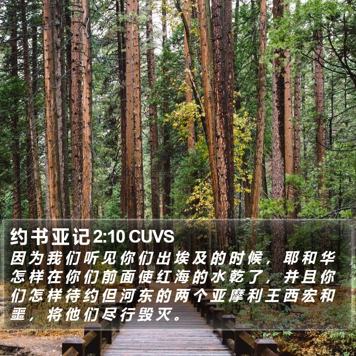 约 书 亚 记 2:10 CUVS Bible Study