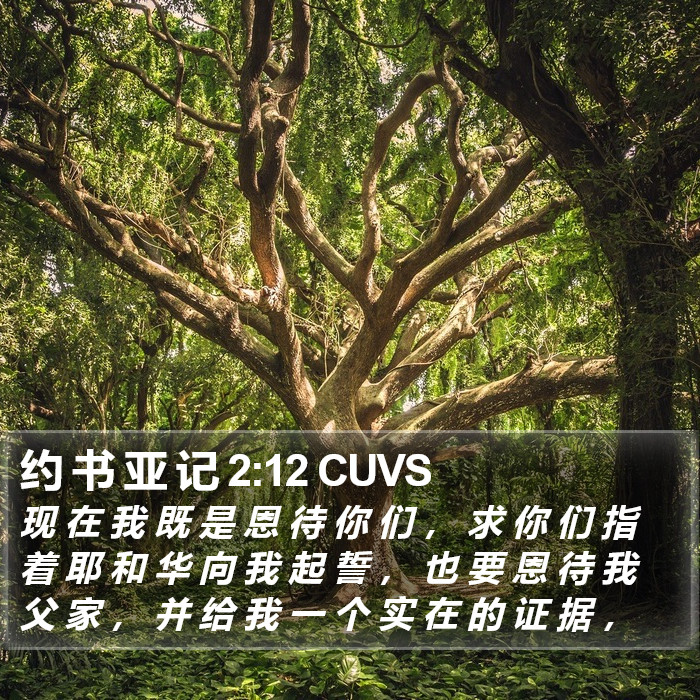 约 书 亚 记 2:12 CUVS Bible Study