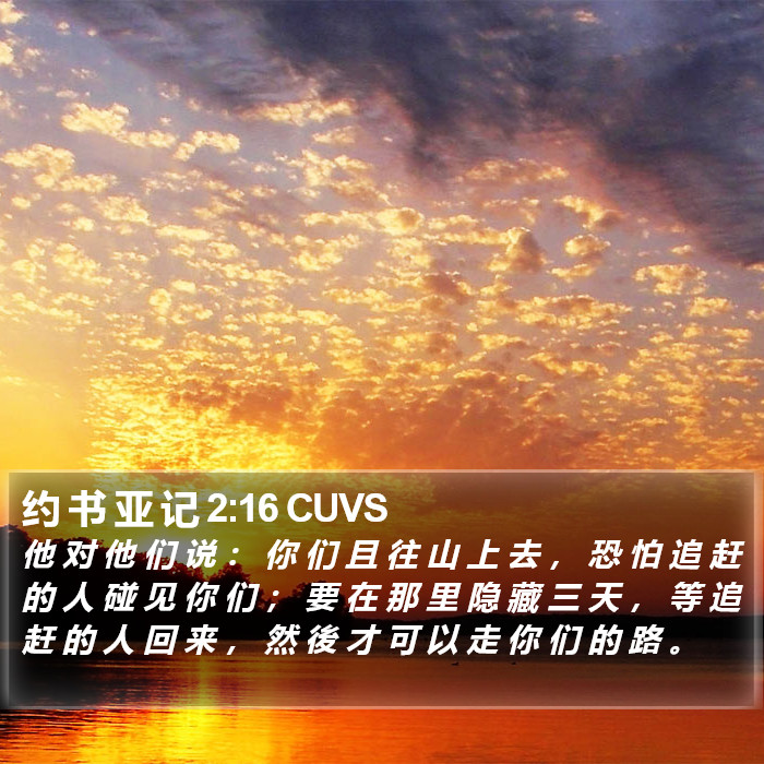 约 书 亚 记 2:16 CUVS Bible Study