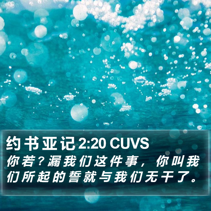 约 书 亚 记 2:20 CUVS Bible Study