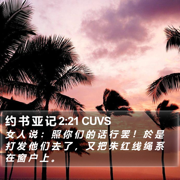 约 书 亚 记 2:21 CUVS Bible Study