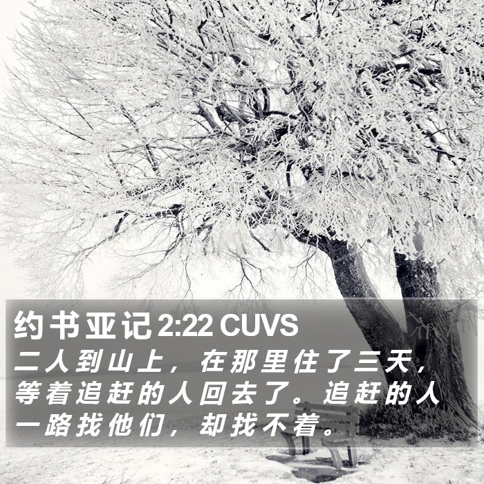 约 书 亚 记 2:22 CUVS Bible Study