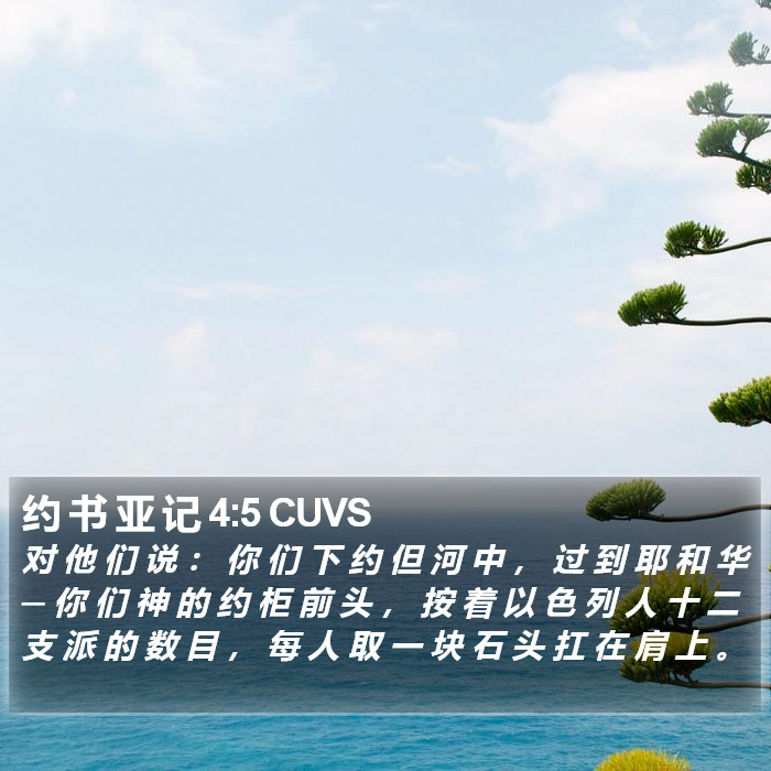 约 书 亚 记 4:5 CUVS Bible Study