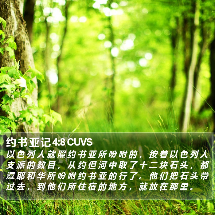约 书 亚 记 4:8 CUVS Bible Study