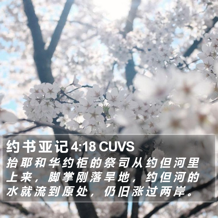 约 书 亚 记 4:18 CUVS Bible Study