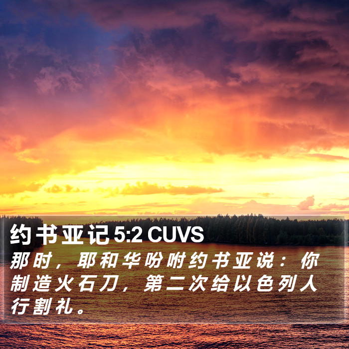 约 书 亚 记 5:2 CUVS Bible Study