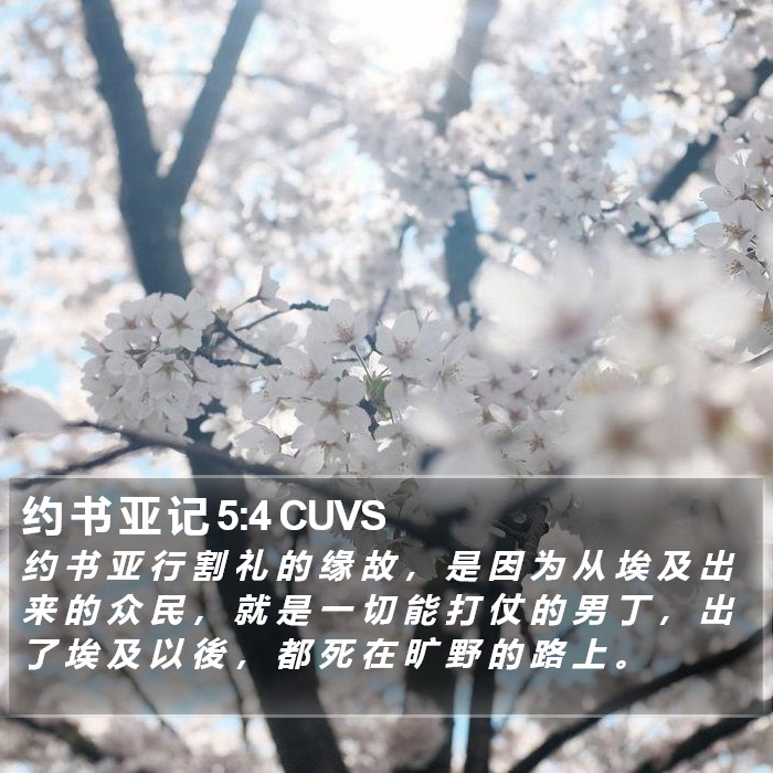 约 书 亚 记 5:4 CUVS Bible Study