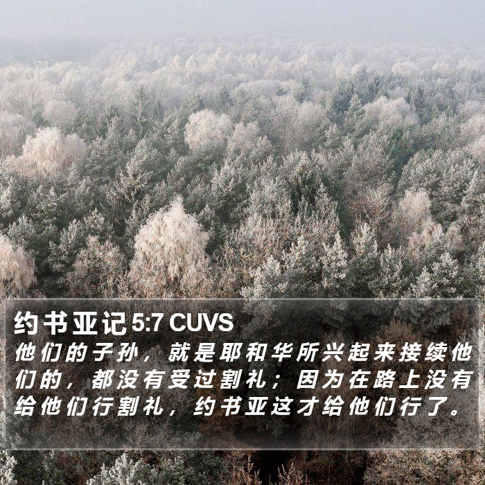 约 书 亚 记 5:7 CUVS Bible Study