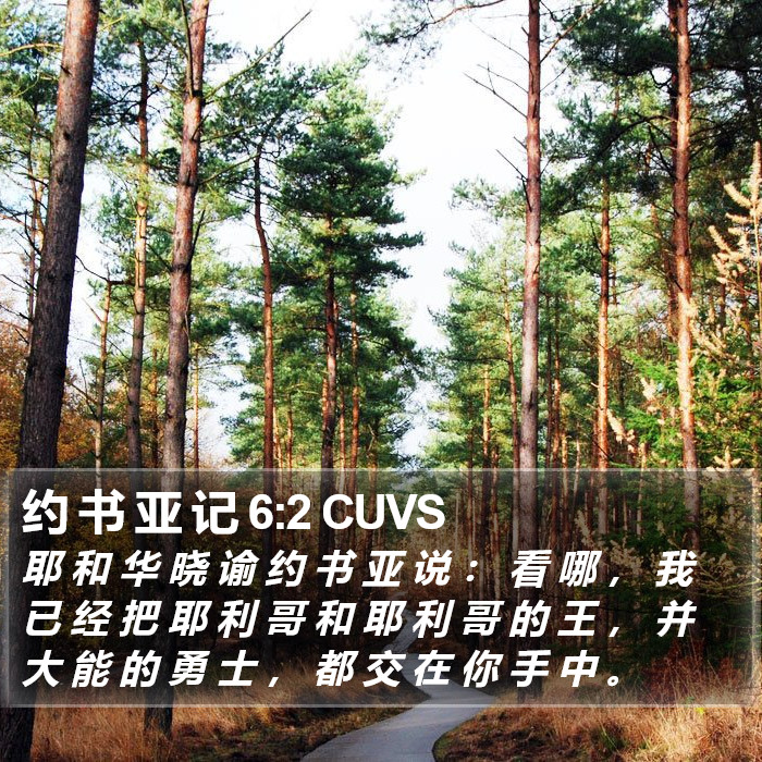 约 书 亚 记 6:2 CUVS Bible Study