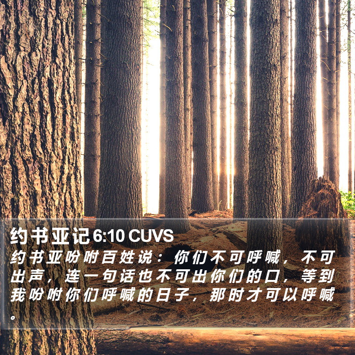 约 书 亚 记 6:10 CUVS Bible Study