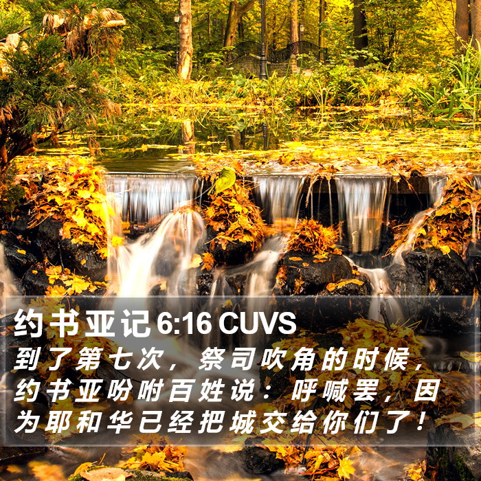 约 书 亚 记 6:16 CUVS Bible Study