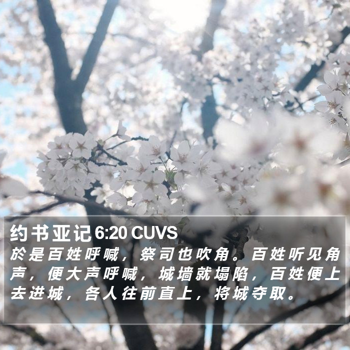 约 书 亚 记 6:20 CUVS Bible Study