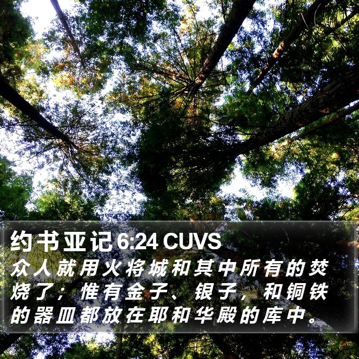 约 书 亚 记 6:24 CUVS Bible Study