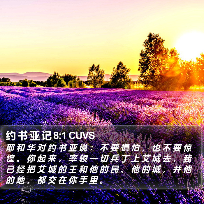约 书 亚 记 8:1 CUVS Bible Study