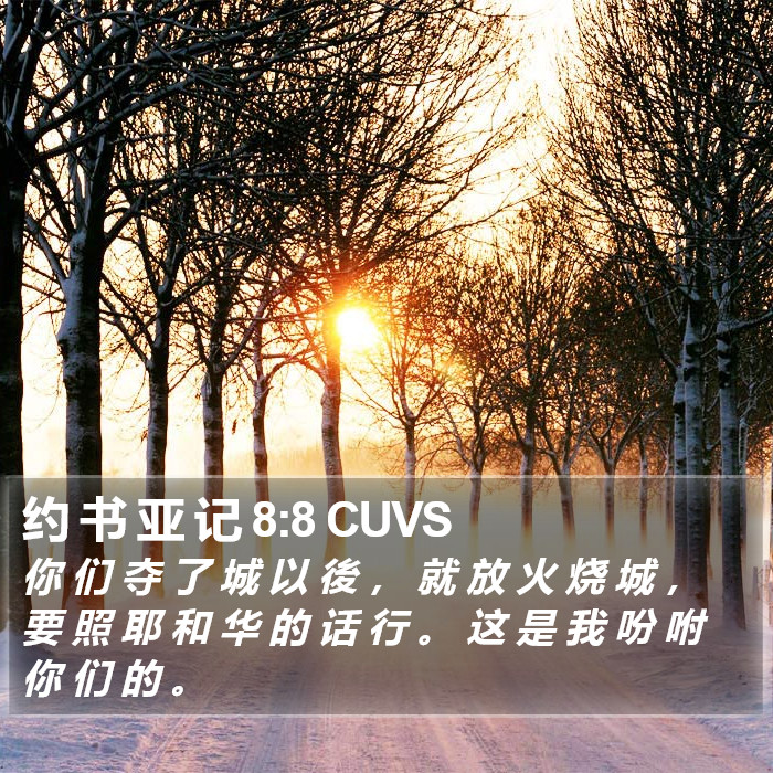约 书 亚 记 8:8 CUVS Bible Study