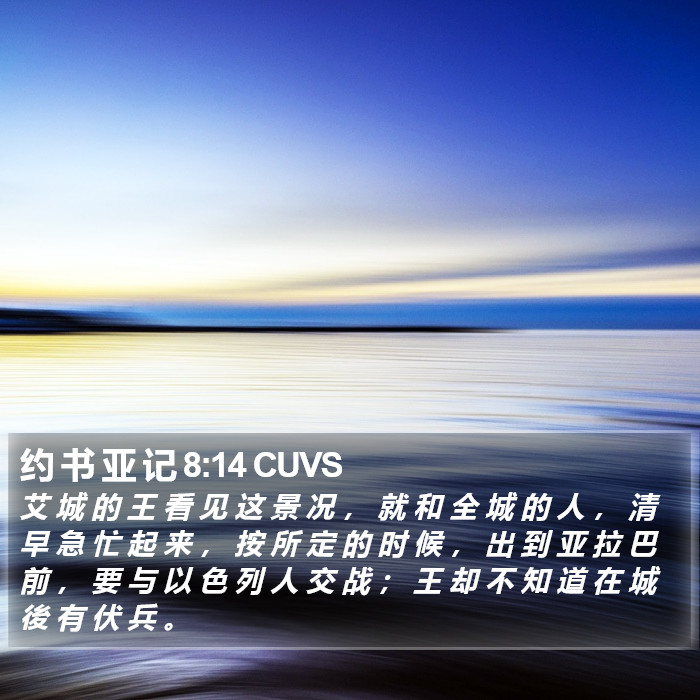 约 书 亚 记 8:14 CUVS Bible Study