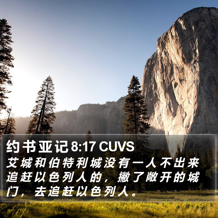 约 书 亚 记 8:17 CUVS Bible Study