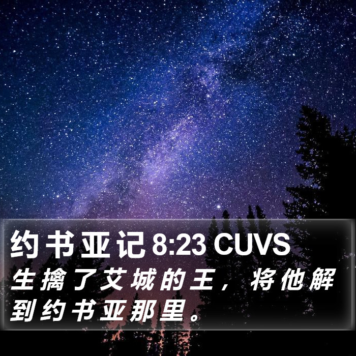 约 书 亚 记 8:23 CUVS Bible Study
