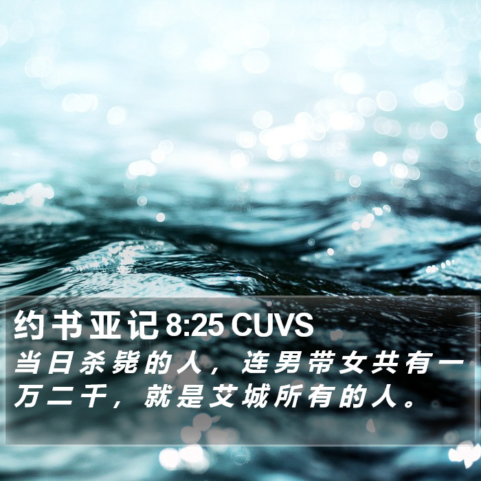 约 书 亚 记 8:25 CUVS Bible Study