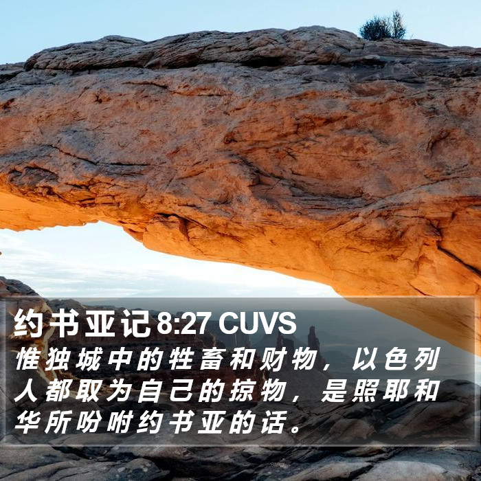 约 书 亚 记 8:27 CUVS Bible Study