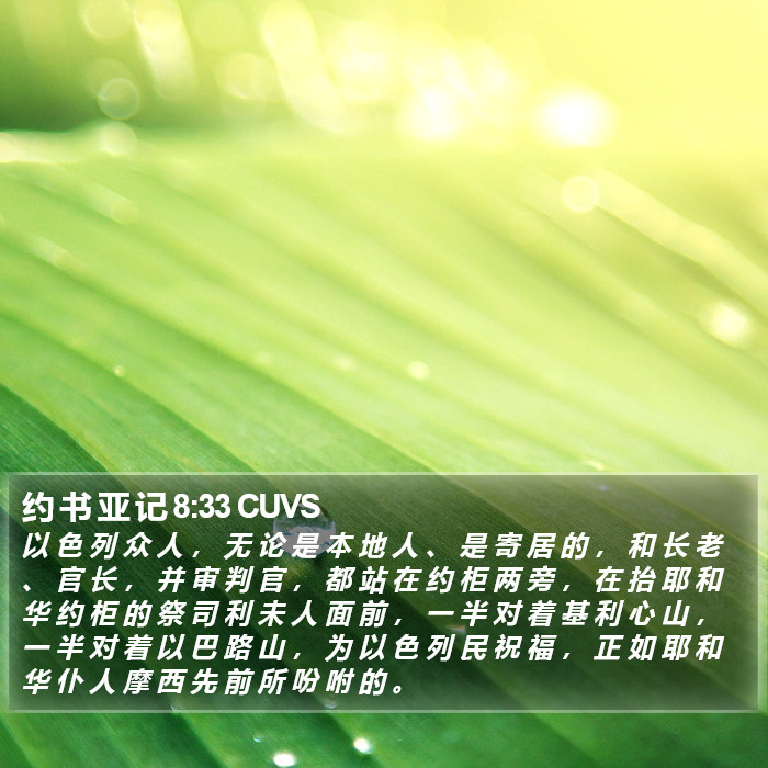 约 书 亚 记 8:33 CUVS Bible Study