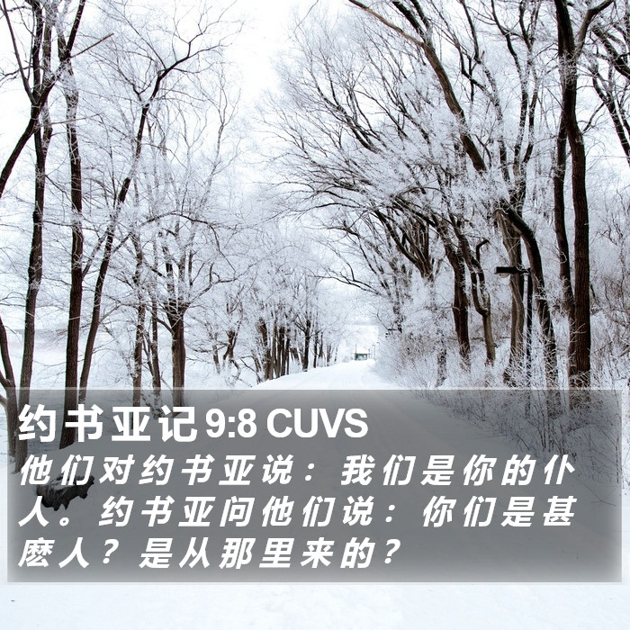 约 书 亚 记 9:8 CUVS Bible Study