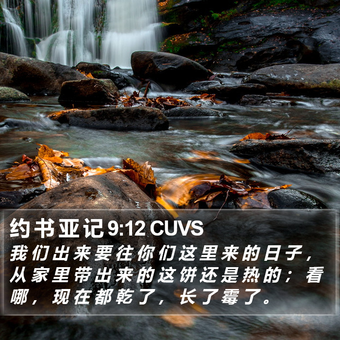 约 书 亚 记 9:12 CUVS Bible Study
