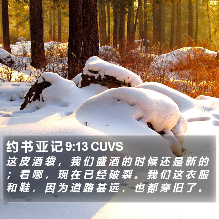 约 书 亚 记 9:13 CUVS Bible Study