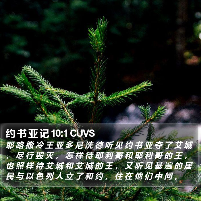 约 书 亚 记 10:1 CUVS Bible Study