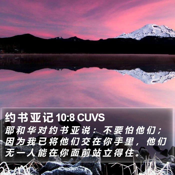 约 书 亚 记 10:8 CUVS Bible Study