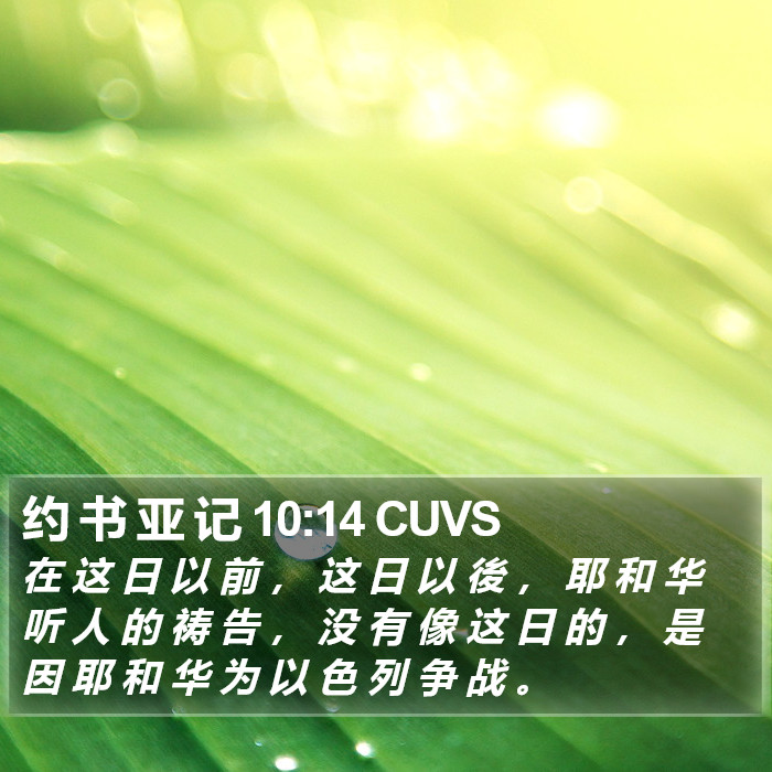 约 书 亚 记 10:14 CUVS Bible Study