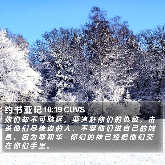 约 书 亚 记 10:19 CUVS Bible Study