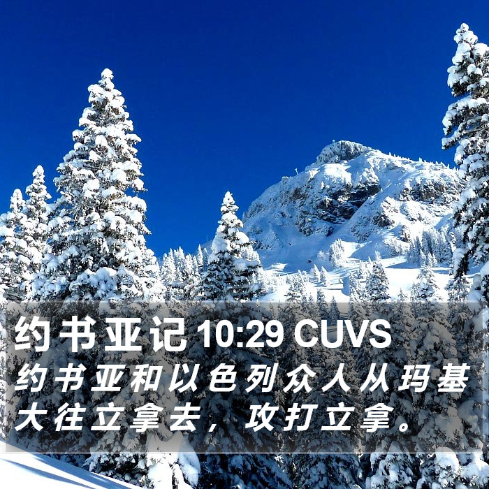 约 书 亚 记 10:29 CUVS Bible Study