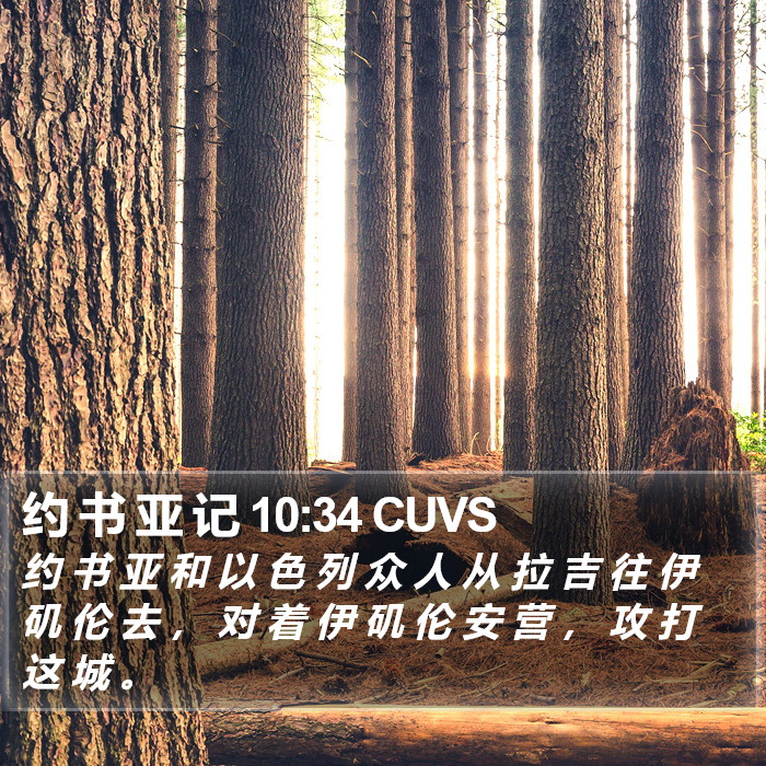 约 书 亚 记 10:34 CUVS Bible Study