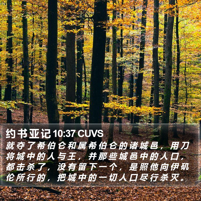 约 书 亚 记 10:37 CUVS Bible Study