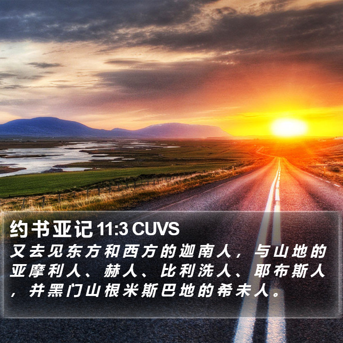 约 书 亚 记 11:3 CUVS Bible Study