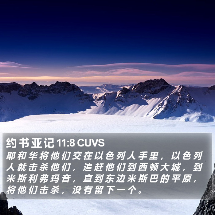 约 书 亚 记 11:8 CUVS Bible Study