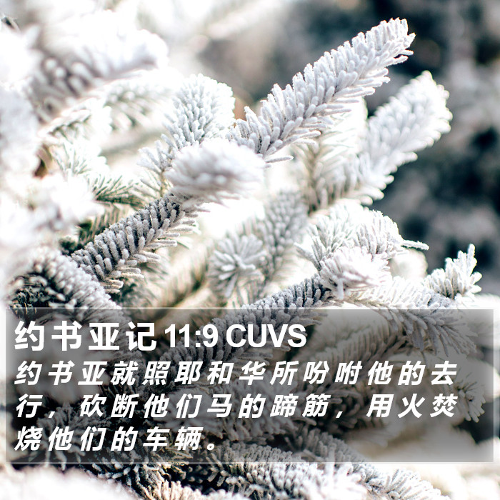 约 书 亚 记 11:9 CUVS Bible Study