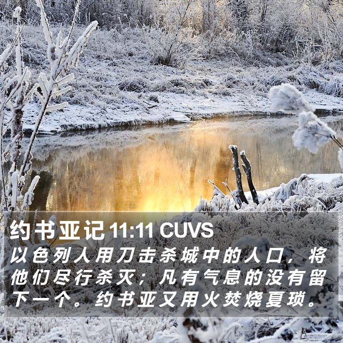 约 书 亚 记 11:11 CUVS Bible Study