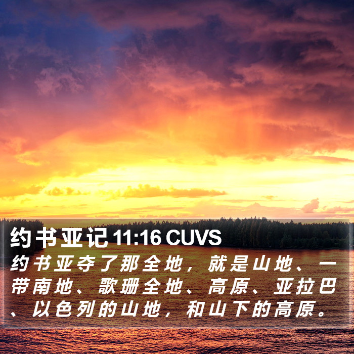 约 书 亚 记 11:16 CUVS Bible Study