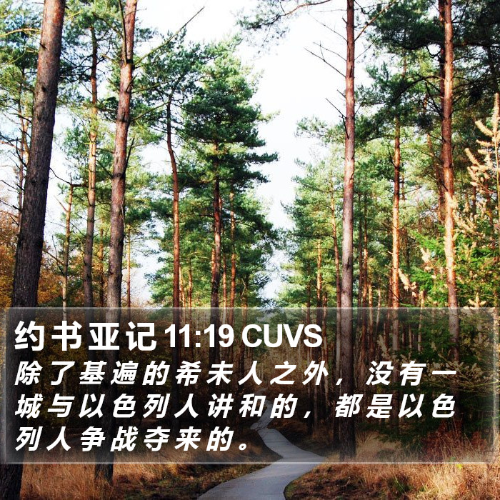 约 书 亚 记 11:19 CUVS Bible Study